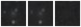 Missing file PGC041192-custom-montage-W1W2.png