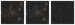 Missing file PGC041193-custom-montage-W1W2.png