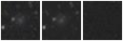 Missing file PGC041195-custom-montage-W1W2.png