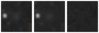 Missing file PGC041214-custom-montage-W1W2.png