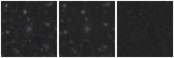 Missing file PGC041223-custom-montage-W1W2.png