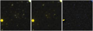 Missing file PGC041245-custom-montage-FUVNUV.png