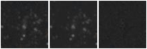 Missing file PGC041263-custom-montage-W1W2.png
