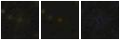 Missing file PGC041411-custom-montage-FUVNUV.png