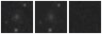 Missing file PGC041433-custom-montage-W1W2.png