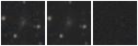 Missing file PGC041458-custom-montage-W1W2.png