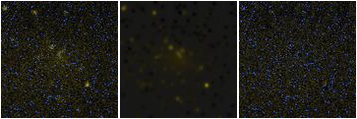 Missing file PGC041469-custom-montage-FUVNUV.png