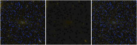 Missing file PGC041515-custom-montage-FUVNUV.png