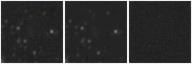 Missing file PGC135807-custom-montage-W1W2.png