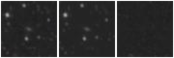 Missing file PGC2575632-custom-montage-W1W2.png