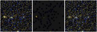 Missing file PGC2667884-custom-montage-FUVNUV.png