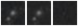 Missing file PGC3089432-custom-montage-W1W2.png