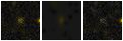 Missing file SDSSJ122927.63+055825.0-custom-montage-FUVNUV.png