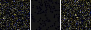 Missing file SDSSJ123109.18+181311.8-custom-montage-FUVNUV.png