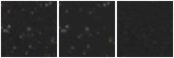 Missing file SDSSJ123154.23+640235.2-custom-montage-W1W2.png