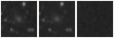 Missing file VFID4074-custom-montage-W1W2.png