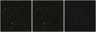 Missing file AGC225874-custom-montage-FUVNUV.png