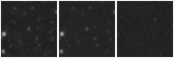 Missing file AGC227895-custom-montage-W1W2.png