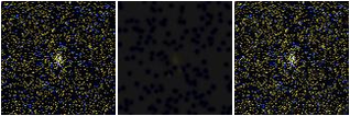 Missing file AGC229321-custom-montage-FUVNUV.png