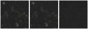 Missing file KHL2017_F16-custom-montage-W1W2.png