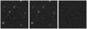 Missing file KHL2017_T15886-custom-montage-W1W2.png