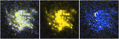Missing file NGC4523-custom-montage-FUVNUV.png