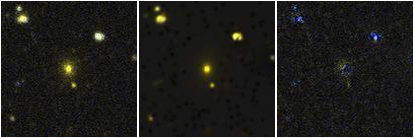 Missing file NGC4543-custom-montage-FUVNUV.png