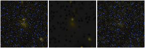 Missing file PGC041544-custom-montage-FUVNUV.png
