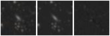 Missing file PGC041616-custom-montage-W1W2.png
