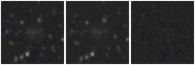 Missing file PGC041647-custom-montage-W1W2.png