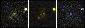 Missing file PGC041667-custom-montage-FUVNUV.png