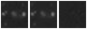 Missing file PGC041686-custom-montage-W1W2.png