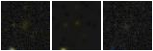 Missing file PGC041697-custom-montage-FUVNUV.png
