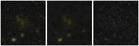 Missing file PGC041720-custom-montage-FUVNUV.png