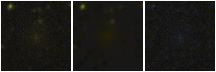Missing file PGC041826-custom-montage-FUVNUV.png