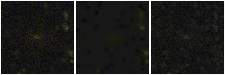 Missing file PGC041874-custom-montage-FUVNUV.png