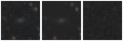 Missing file PGC041874-custom-montage-W1W2.png