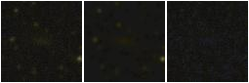 Missing file PGC041906-custom-montage-FUVNUV.png