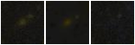 Missing file PGC041907-custom-montage-FUVNUV.png