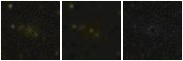 Missing file PGC041917-custom-montage-FUVNUV.png