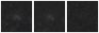 Missing file PGC041917-custom-montage-W1W2.png