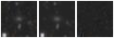 Missing file PGC041945-custom-montage-W1W2.png