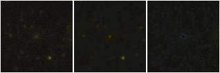 Missing file PGC041979-custom-montage-FUVNUV.png