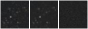 Missing file PGC041979-custom-montage-W1W2.png