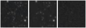 Missing file PGC1164663-custom-montage-W1W2.png