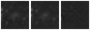 Missing file PGC1198892-custom-montage-W1W2.png