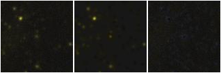 Missing file SDSSJ123340.31+124413.5-custom-montage-FUVNUV.png