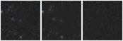 Missing file SDSSJ123340.31+124413.5-custom-montage-W1W2.png