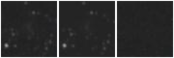 Missing file SDSSJ123428.98+640555.8-custom-montage-W1W2.png