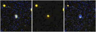 Missing file AGC225847-custom-montage-FUVNUV.png
